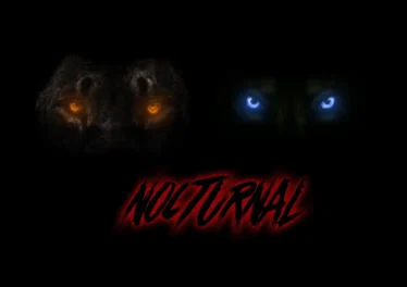 Dwson & !Sooks - Nocturnal Afro House King