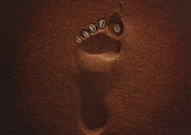 Tycoon & Kelvin Momo - Deliwe (feat. De Rose, Xolani Guitars, Kagiso & Omit ST) Afro House King