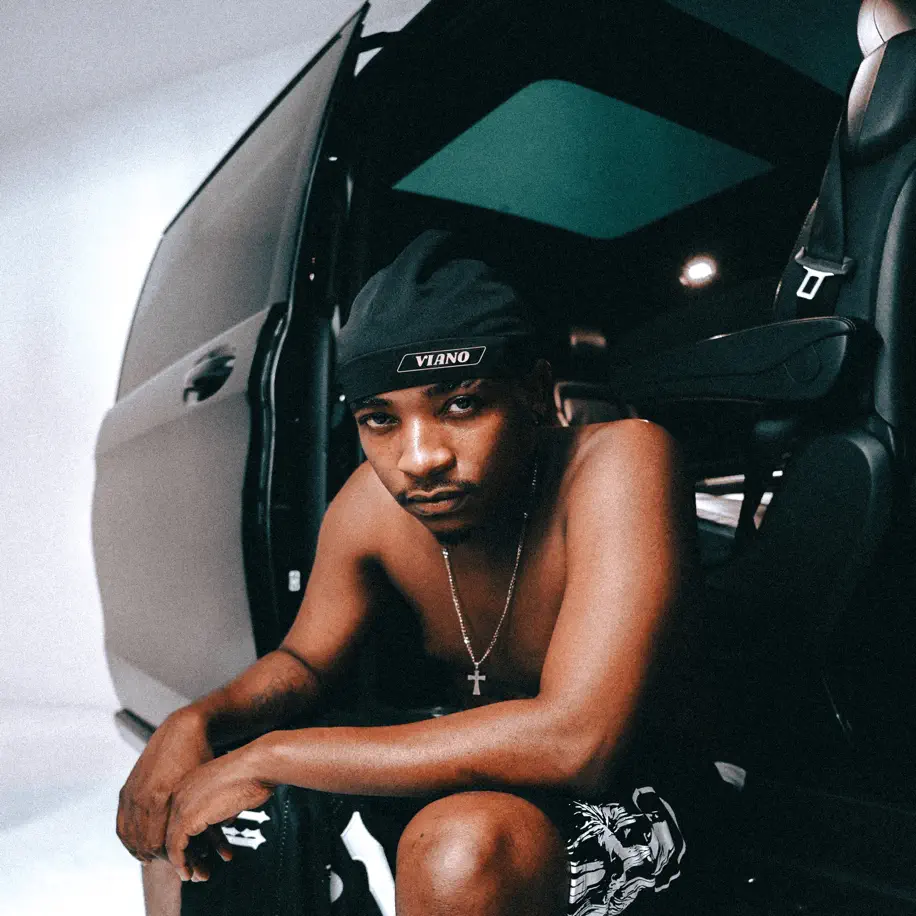  EeQue, Criimora b.k.z & Beekay Monalayzzar - Viano (feat. Swizxle, Senzo02 & Essa Kay)