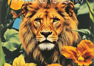 Pierre Dube, Enhle & M Vila - Impakamo Afro House King