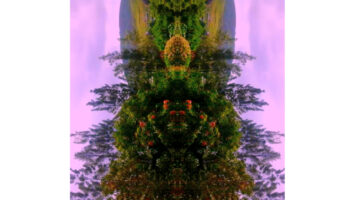 Yimi! - unicorn park 5 Yimi! - unicorn park Afro House King