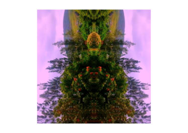 Yimi! - unicorn park Afro House King