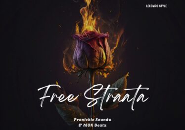 Pronickle Soundz & Mok Beatz - Free Straata Afro House King