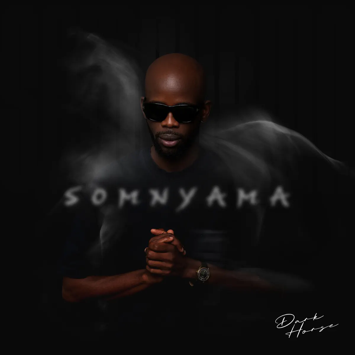 Dark Horse - SOMNYAMA (Album) 1 Dark Horse - SOMNYAMA