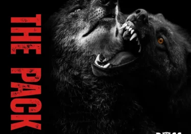 Geezzi DeepSoul & Mr Shane SA - The Pack Afro House King