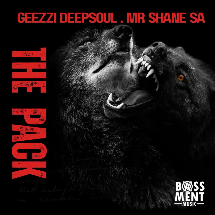  Geezzi DeepSoul & Mr Shane SA - The Pack