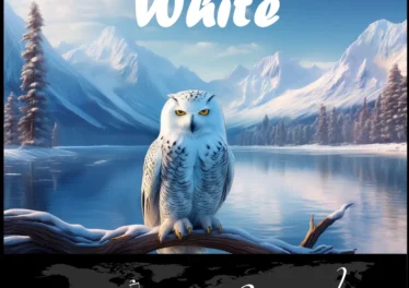 Gladiators Deep SA & MaLoko Pro - White EP Afro House King