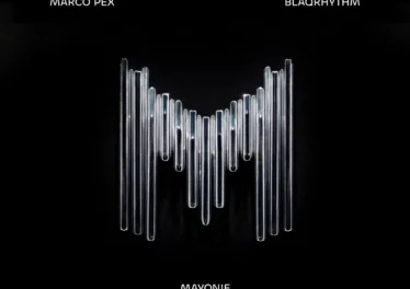 Mayonie & Skillz - Ibhanoyi (feat. Zakes Bantwini) Afro House King