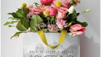 Vico Da Sporo & Zelule zn - Something Special 5 Vico Da Sporo & Zelule zn - Something Special Afro House King