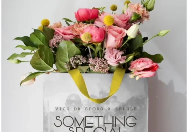 Vico Da Sporo & Zelule zn - Something Special Afro House King