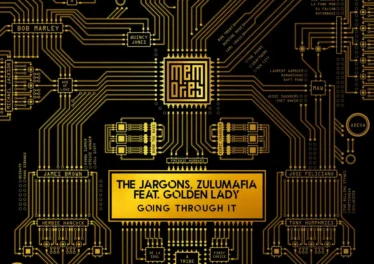 The Jargons & ZuluMafia - Going through it (Main Mix) (feat. Golden Lady) Afro House King