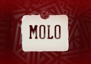 JL SA, Msongi & COON SA - MOLO Afro House King