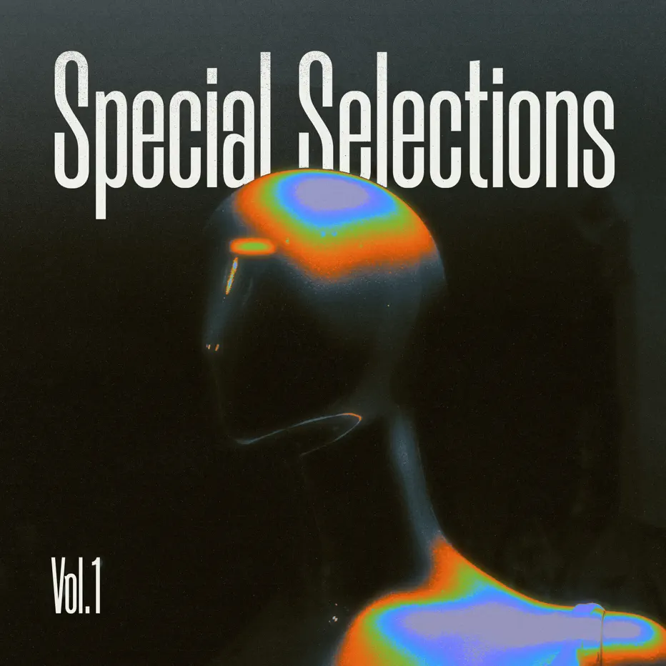 Various Artists -  Special Selections, Vol. 1