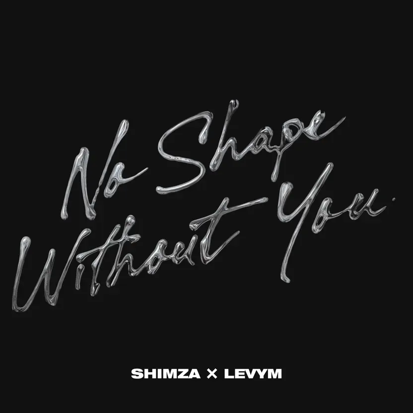  Shimza & LevyM - No Shape Without You