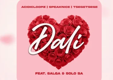 Acidicloopz, SpeakNice & Tšegetšege - DALI (feat. Salga & Solo SA) Afro House King