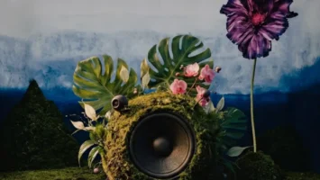 Zakes Bantwini & Skye Wanda - Echoes Of Botanical Gardens (Album) Afro House King