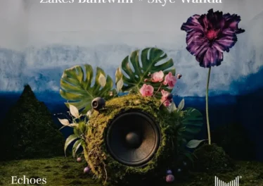 Zakes Bantwini & Skye Wanda - Echoes Of Botanical Gardens (Album) Afro House King