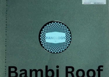 Ben Produces & DJ Superman - Bambi Roof Afro House King