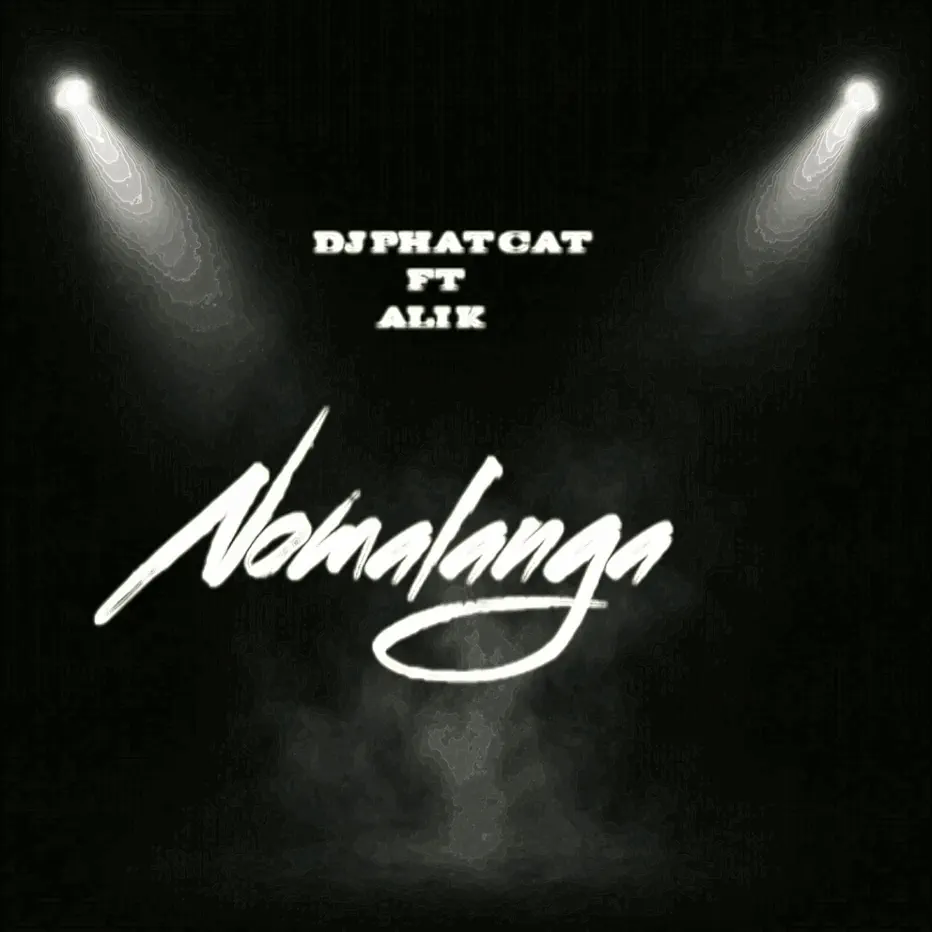  DJ Phat Cat - Nomalanga (feat. Ali K)