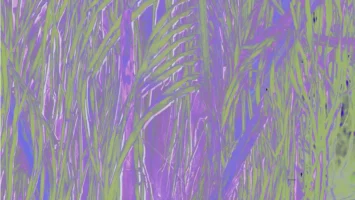 Omagoqa, Sizwe Alakine & K.Keed - Jumanji (feat. Jepedoh, Mvelo Makhanya & Ms. Cosmo) Afro House King