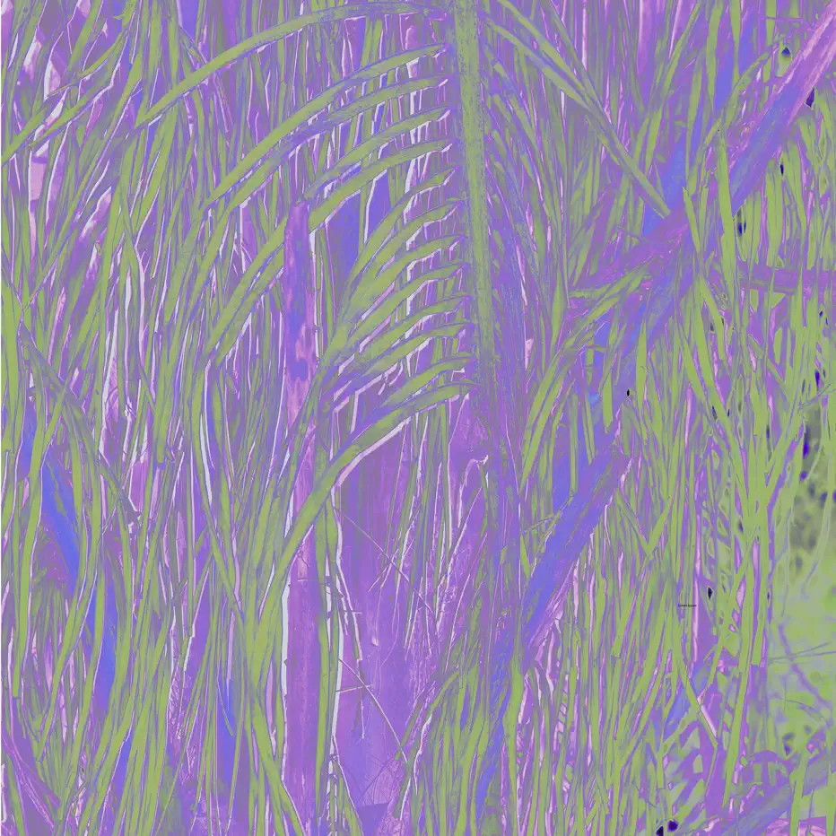  Omagoqa, Sizwe Alakine & K.Keed - Jumanji (feat. Jepedoh, Mvelo Makhanya & Ms. Cosmo)