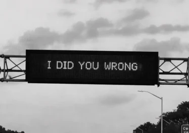 Phoenix Sounds & Shallow Melodies - I Did You Wrong Afro House King